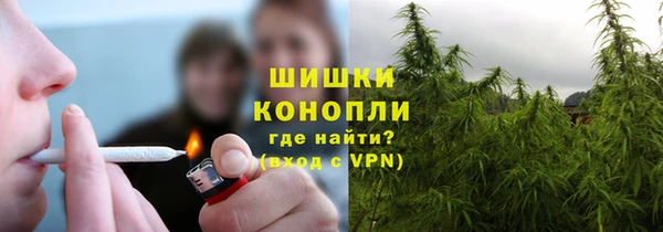 соль ск Арсеньев