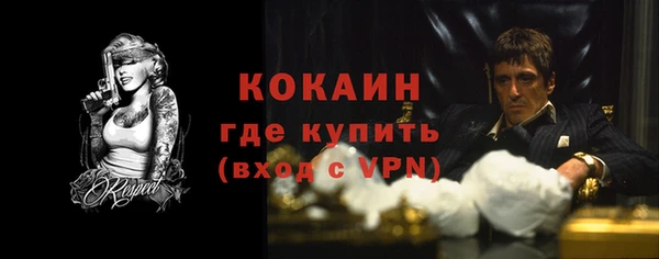 соль ск Арсеньев