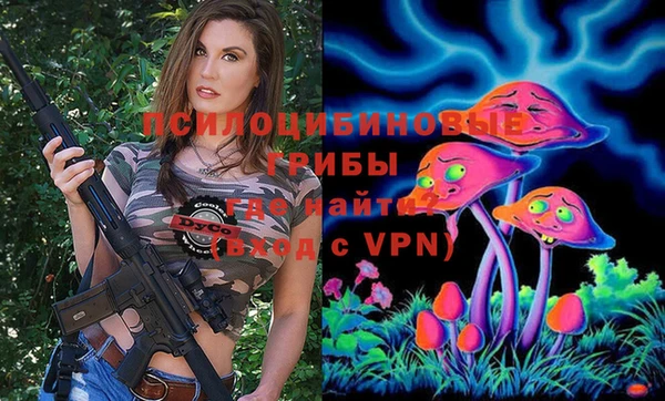 соль ск Арсеньев