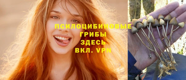 соль ск Арсеньев