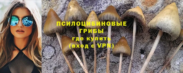 бутик Аркадак
