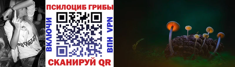 Псилоцибиновые грибы прущие грибы  Губкин 
