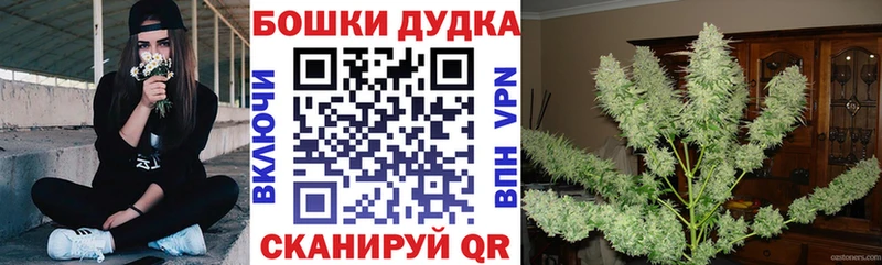 Конопля семена  купить наркотики сайты  KRAKEN как войти  Губкин 